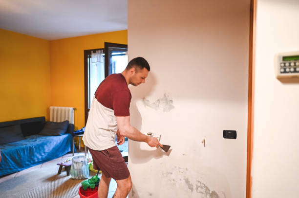 Best Attic Mold Removal  in Waggaman, LA